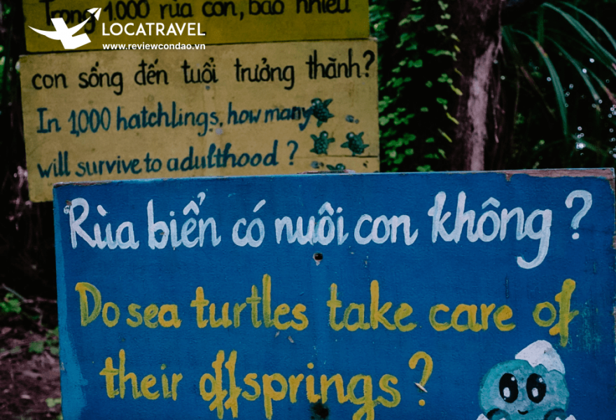 Tour  7 cạnh & Hòn Cau